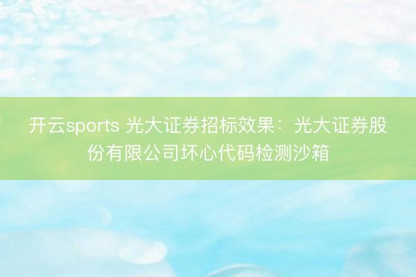开云sports 光大证券招标效果：光大证券股份有限公司坏心代码检测沙箱