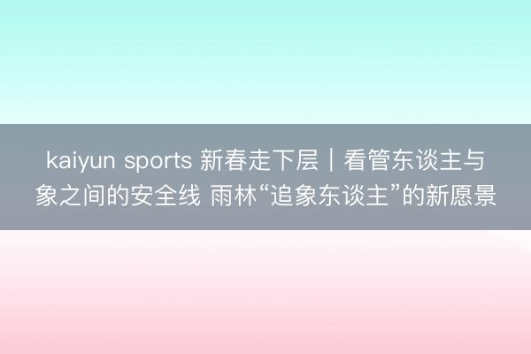 kaiyun sports 新春走下层|看管东谈主与象之间的安全线 雨林“追象东谈主”的新愿景