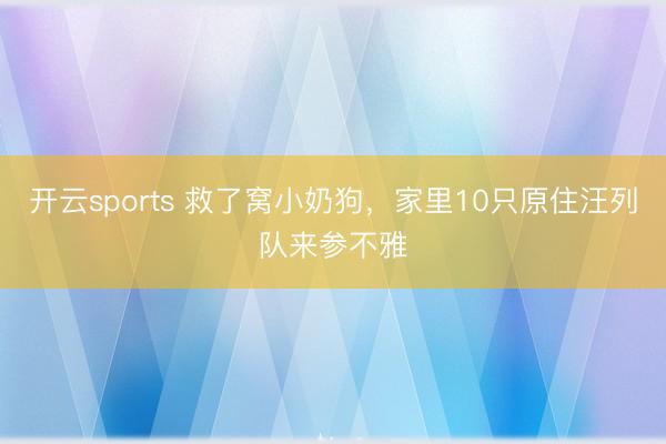开云sports 救了窝小奶狗，家里10只原住汪列队来参不雅