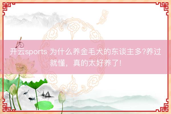 开云sports 为什么养金毛犬的东谈主多?养过就懂，真的太好养了!