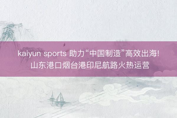 kaiyun sports 助力“中国制造”高效出海! 山东港口烟台港印尼航路火热运营