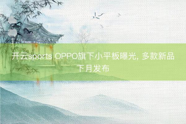 开云sports OPPO旗下小平板曝光, 多款新品下月发布